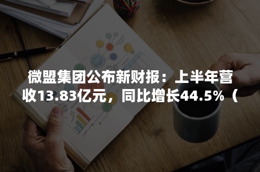 微盟集团公布新财报：上半年营收13.83亿元，同比增长44.5%（微盟股份占比）