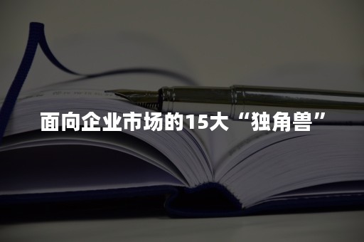 面向企业市场的15大“独角兽”