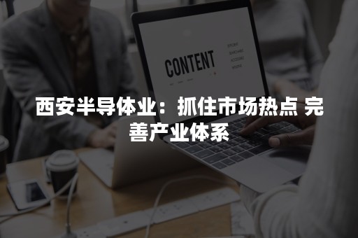 西安半导体业：抓住市场热点 完善产业体系