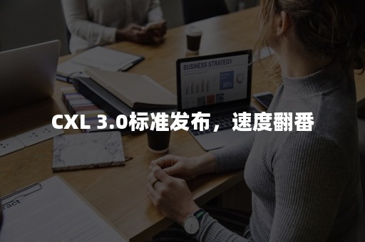 CXL 3.0标准发布，速度翻番