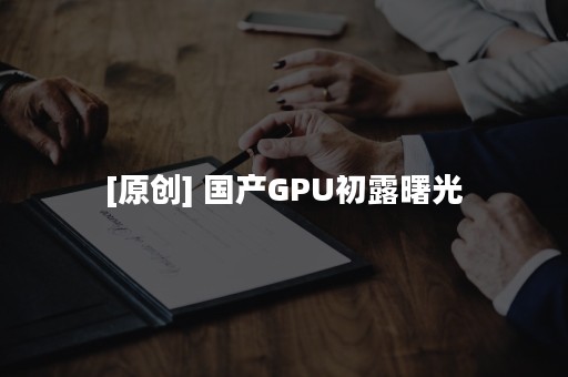 [原创] 国产GPU初露曙光