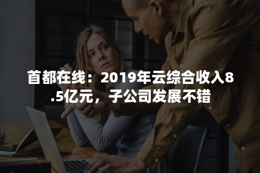 首都在线：2019年云综合收入8.5亿元，子公司发展不错