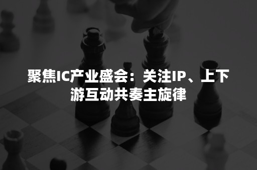 聚焦IC产业盛会：关注IP、上下游互动共奏主旋律