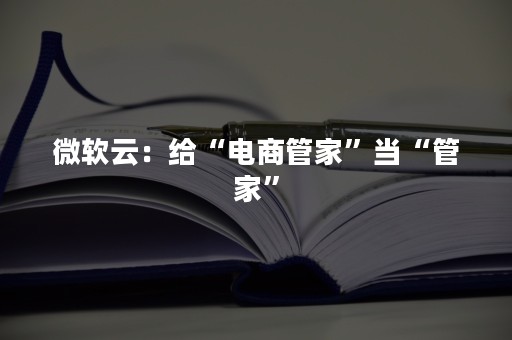 微软云：给“电商管家”当“管家”