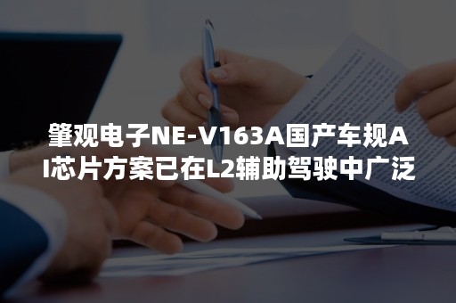 肇观电子NE-V163A国产车规AI芯片方案已在L2辅助驾驶中广泛商用-PR-Newswire