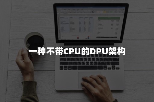 一种不带CPU的DPU架构