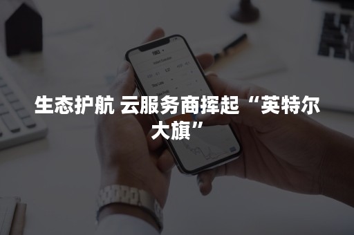 生态护航 云服务商挥起“英特尔大旗”