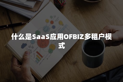 什么是SaaS应用OFBIZ多租户模式