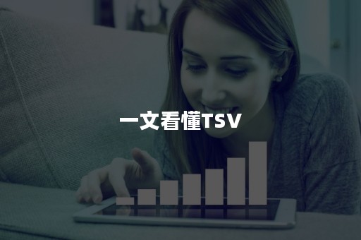 一文看懂TSV
