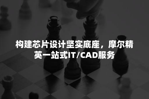 构建芯片设计坚实底座，摩尔精英一站式IT/CAD服务