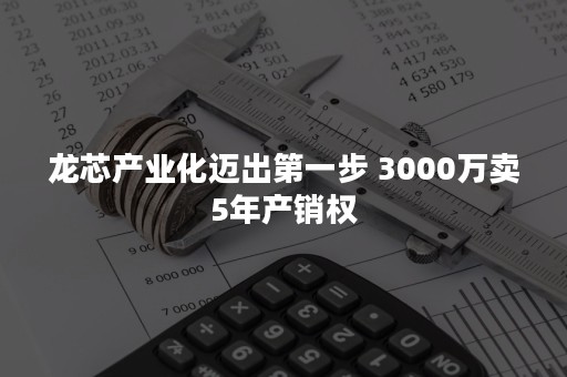 龙芯产业化迈出第一步 3000万卖5年产销权