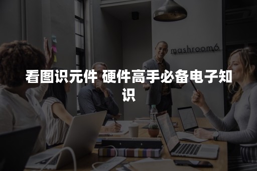 看图识元件 硬件高手必备电子知识