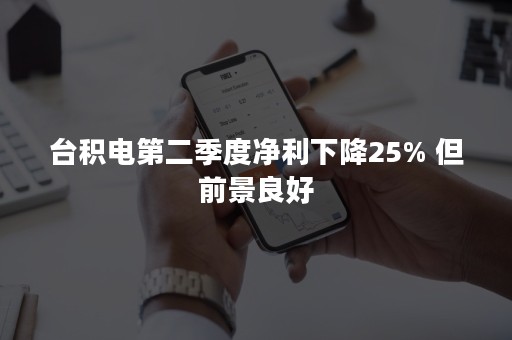 台积电第二季度净利下降25% 但前景良好