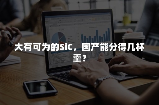 大有可为的SiC，国产能分得几杯羹？