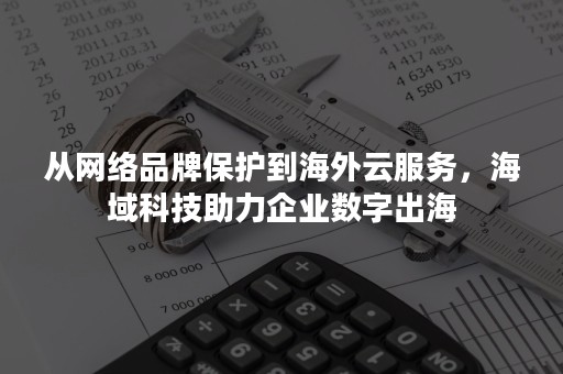 从网络品牌保护到海外云服务，海域科技助力企业数字出海