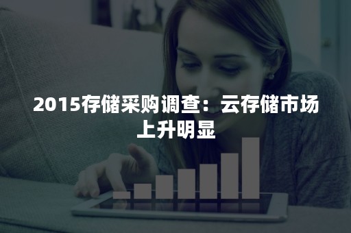 2015存储采购调查：云存储市场上升明显