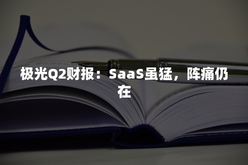 极光Q2财报：SaaS虽猛，阵痛仍在