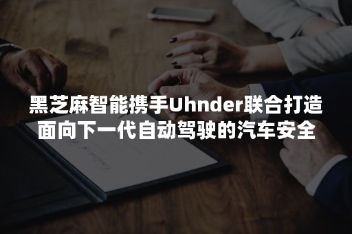 黑芝麻智能携手Uhnder联合打造面向下一代自动驾驶的汽车安全感知技术-PR-Newswire