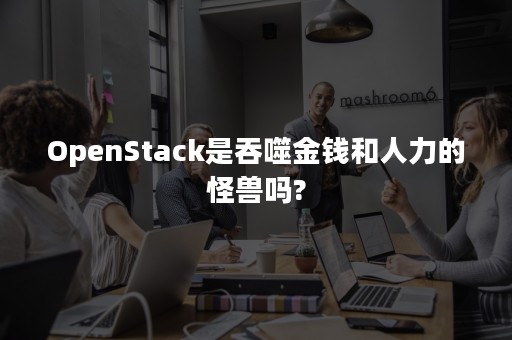 OpenStack是吞噬金钱和人力的怪兽吗?