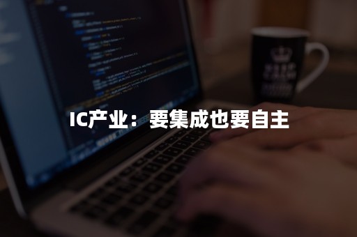 IC产业：要集成也要自主