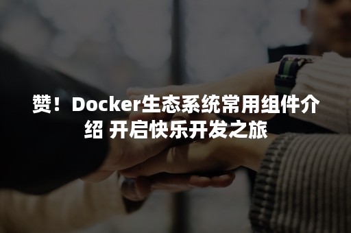 赞！Docker生态系统常用组件介绍 开启快乐开发之旅