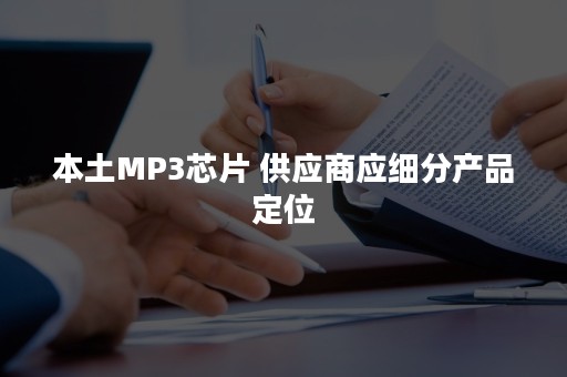 本土MP3芯片 供应商应细分产品定位