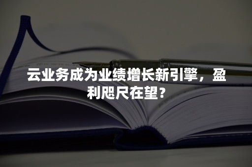 云业务成为业绩增长新引擎，盈利咫尺在望？