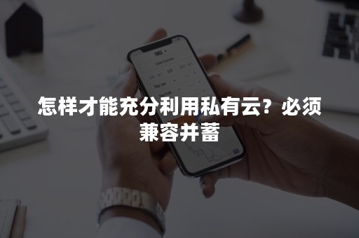 怎样才能充分利用私有云？必须兼容并蓄