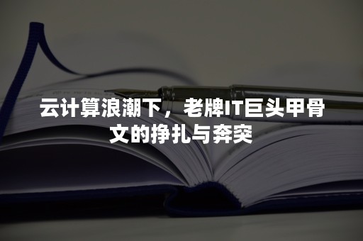 云计算浪潮下，老牌IT巨头甲骨文的挣扎与奔突