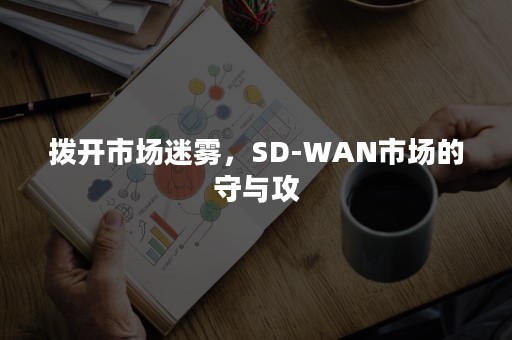 拨开市场迷雾，SD-WAN市场的守与攻