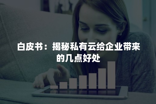 白皮书：揭秘私有云给企业带来的几点好处