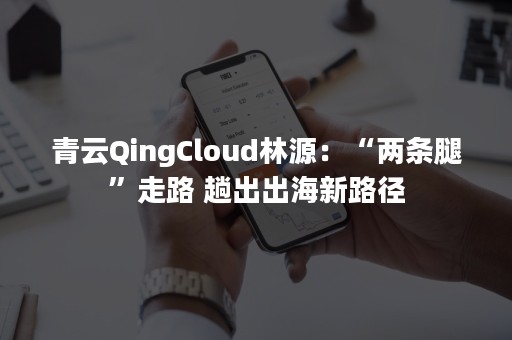 青云QingCloud林源：“两条腿”走路 趟出出海新路径