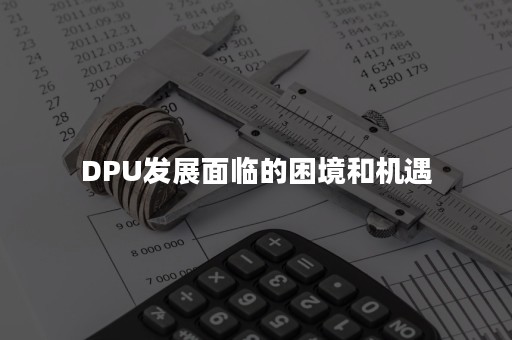 DPU发展面临的困境和机遇