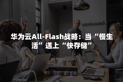 华为云All-Flash战略：当“慢生活”遇上“快存储”