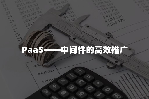 PaaS——中间件的高效推广