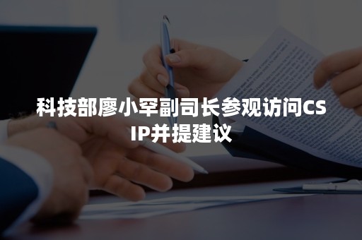 科技部廖小罕副司长参观访问CSIP并提建议