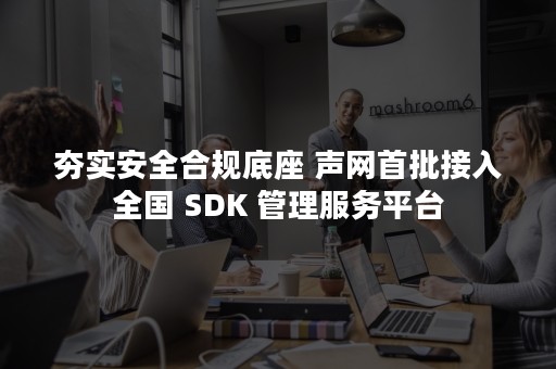 夯实安全合规底座 声网首批接入全国 SDK 管理服务平台