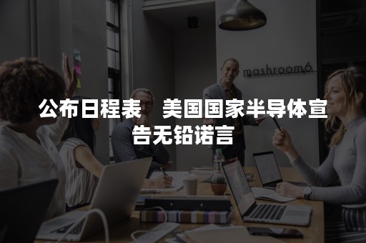 公布日程表　美国国家半导体宣告无铅诺言
