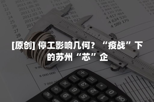 [原创] 停工影响几何？“疫战”下的苏州“芯”企