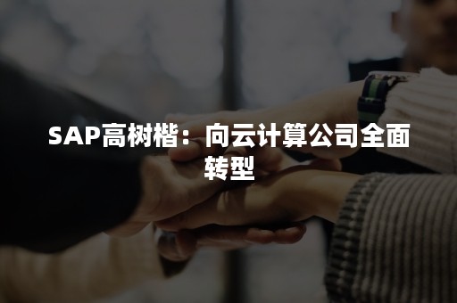 SAP高树楷：向云计算公司全面转型