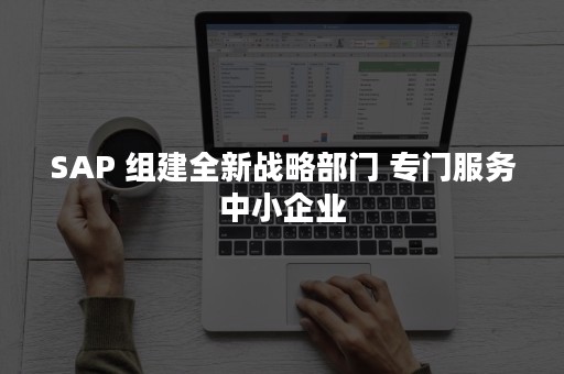SAP 组建全新战略部门 专门服务中小企业