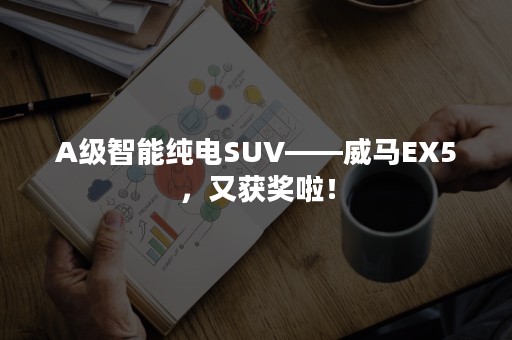 A级智能纯电SUV——威马EX5，又获奖啦！