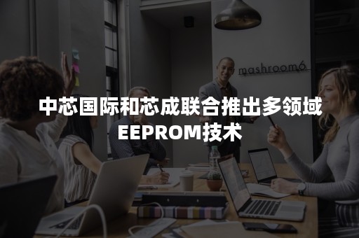 中芯国际和芯成联合推出多领域EEPROM技术