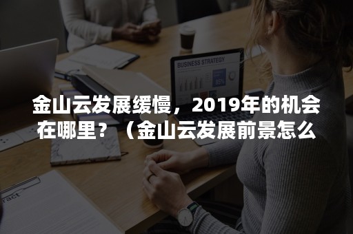 金山云发展缓慢，2019年的机会在哪里？（金山云发展前景怎么样）