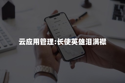 云应用管理:长使英雄泪满襟