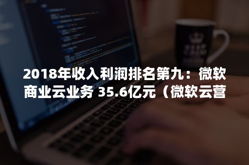 2018年收入利润排名第九：微软商业云业务 35.6亿元（微软云营收）