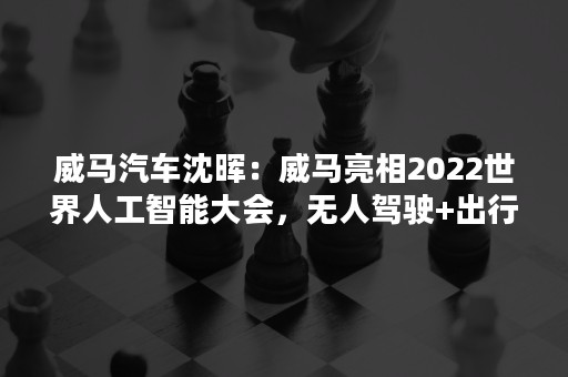 威马汽车沈晖：威马亮相2022世界人工智能大会，无人驾驶+出行生态成焦点