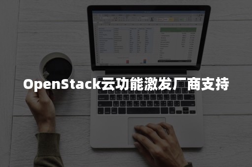 OpenStack云功能激发厂商支持