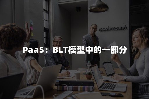 PaaS：BLT模型中的一部分