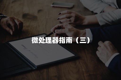 微处理器指南（三）